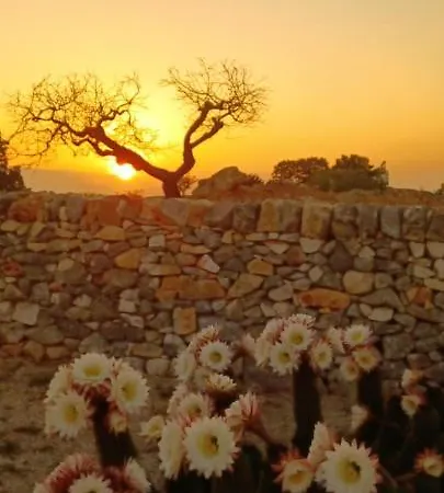 カーサ リラックス イザベル